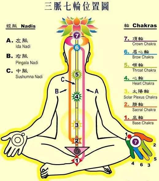三脉七轮位置图 三脉七轮奥秘、开启以及与对应的晶石-菩心晶舍