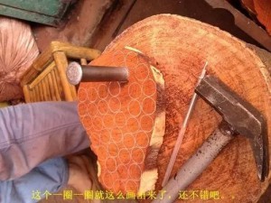 小叶紫檀:从印度生长,走私,到国内手串成品全程高清解密-菩心晶舍