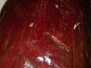 小叶紫檀的老料是怎么来的?-菩心晶舍