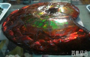 斑彩螺纹石的基本介绍-菩心晶舍