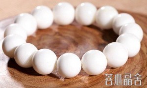 砗磲的保养与净化-菩心晶舍