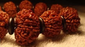 最全面大金刚菩提把玩入门指导-菩心晶舍