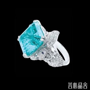 碧玺之王帕拉伊巴:20年涨到每克拉30万-菩心晶舍