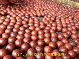 小叶紫檀:从印度生长,走私,到国内手串成品全程高清解密-菩心晶舍