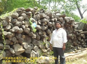 小叶紫檀:从印度生长,走私,到国内手串成品全程高清解密-菩心晶舍