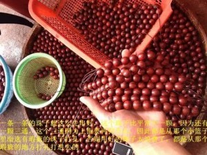 小叶紫檀:从印度生长,走私,到国内手串成品全程高清解密-菩心晶舍