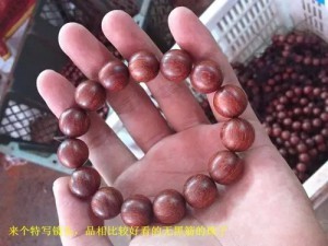 小叶紫檀:从印度生长,走私,到国内手串成品全程高清解密-菩心晶舍