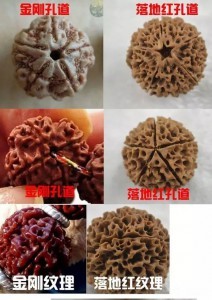 教你如何识别金刚菩提和落地红!!-菩心晶舍