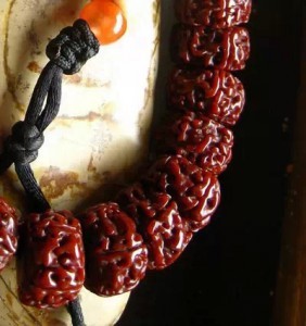 小金刚菩提的选择和盘玩-菩心晶舍