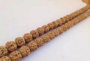 认识各种纹理的小金刚菩提子-菩心晶舍