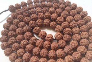 认识各种纹理的小金刚菩提子-菩心晶舍