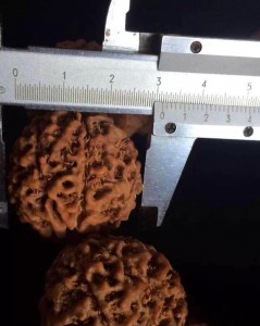 认识各种纹理的小金刚菩提子-菩心晶舍