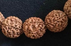 认识各种纹理的小金刚菩提子-菩心晶舍