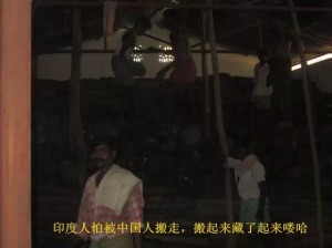 小叶紫檀:从印度生长,走私,到国内手串成品全程高清解密-菩心晶舍