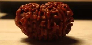 最全面大金刚菩提把玩入门指导-菩心晶舍