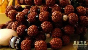 小金刚菩提的选择和盘玩-菩心晶舍