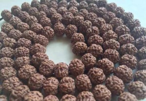 认识各种纹理的小金刚菩提子-菩心晶舍