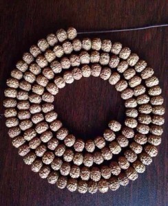 认识各种纹理的小金刚菩提子-菩心晶舍