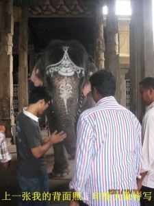 小叶紫檀:从印度生长,走私,到国内手串成品全程高清解密-菩心晶舍