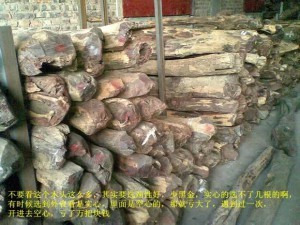 小叶紫檀:从印度生长,走私,到国内手串成品全程高清解密-菩心晶舍