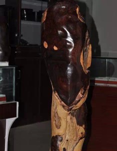 小叶紫檀的老料是怎么来的?-菩心晶舍