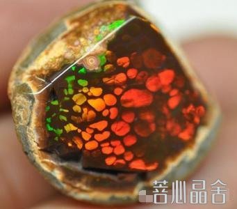 b98c6fc3b8ed9a23cf835f979716e21a