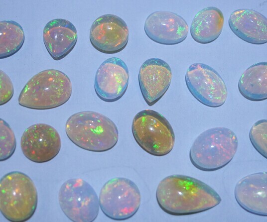 d3bca85fcf53ad0dcb66e708f37b359c