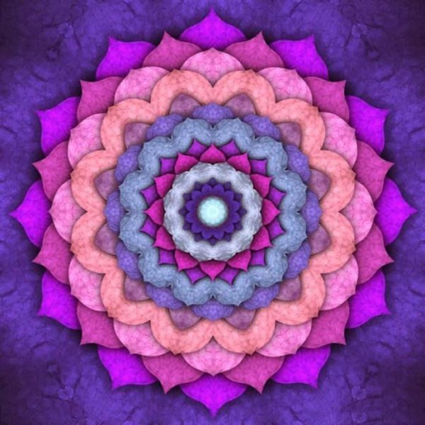 【紫晶洞】 一只乌拉圭顶级小紫晶洞-菩心晶舍