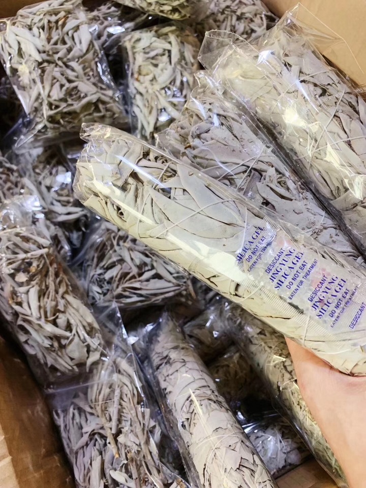 感人的美国鼠尾草,消磁神器~~-菩心晶舍