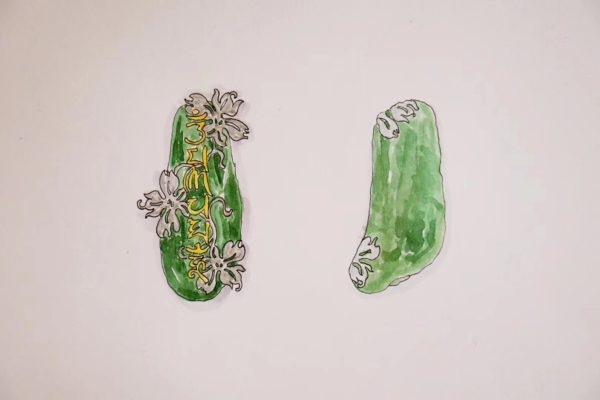 收藏级大捷克陨石