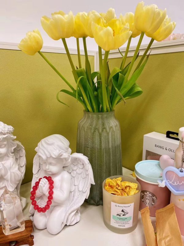 【客户返图】养红纹石,要满满的爱哦。-菩心晶舍