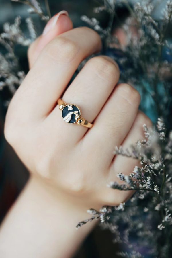 水瓶座小姐姐定制的12星座斑彩石戒指,双面可戴。-菩心晶舍