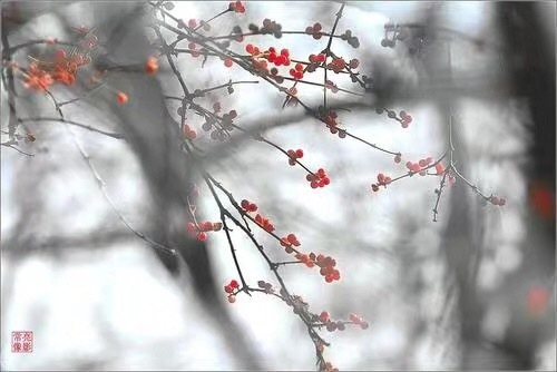 【客户返图】超七的神仙返图啊啊啊啊啊-菩心晶舍