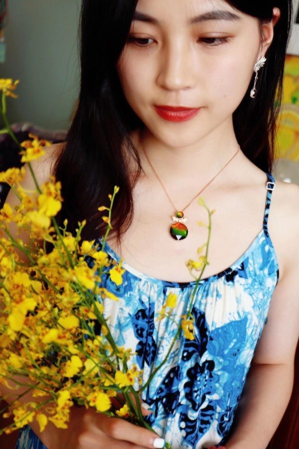 吸收天地精华的斑彩石,跟恐龙一个时代-菩心晶舍