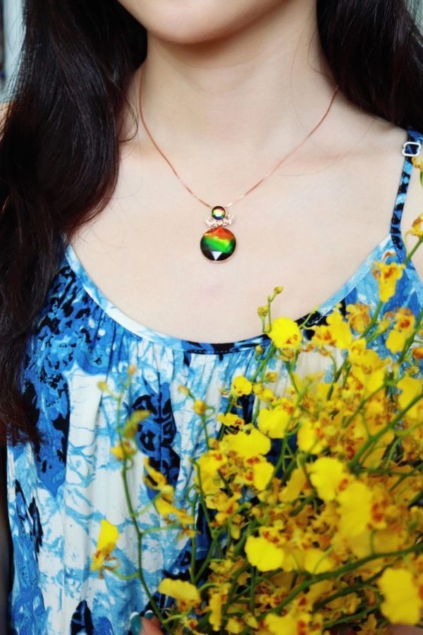 吸收天地精华的斑彩石,跟恐龙一个时代-菩心晶舍