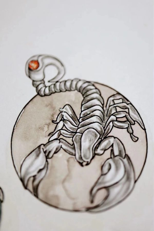 斑彩石&天蝎座,突如其来的欢喜-菩心晶舍