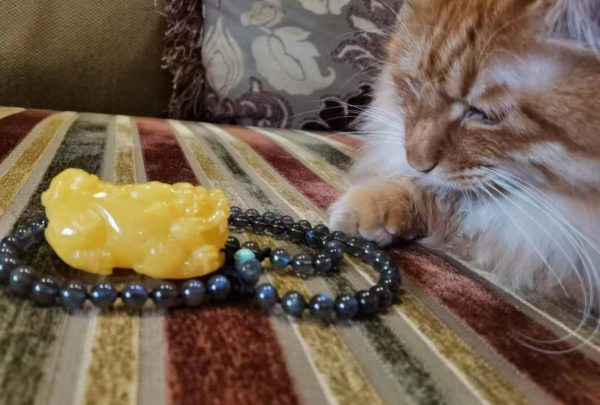 【客户返图】蜜蜡、灰月光返图,神兽凝视神兽。。。-菩心晶舍