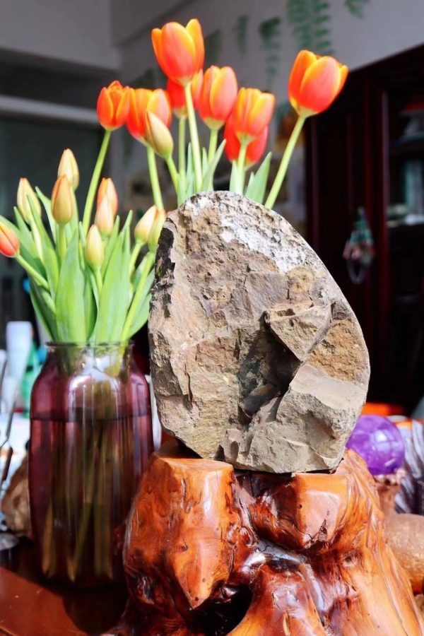 顶级的乌拉圭原矿紫晶簇,我私留的一只小胖子-菩心晶舍