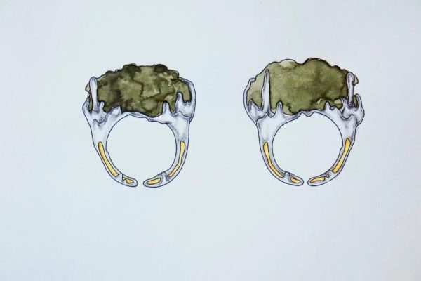 捷克陨石戒指手镯客定-致敬经典-菩心晶舍