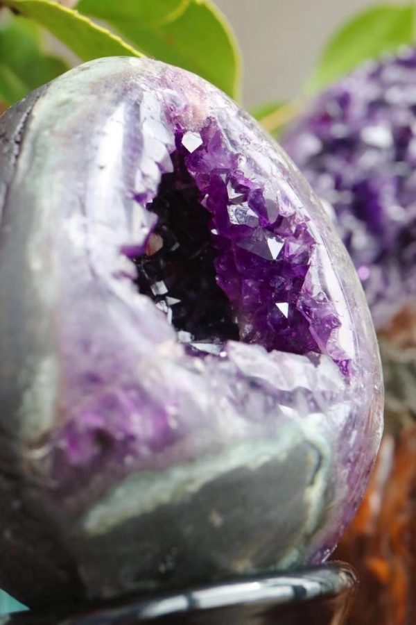 一只紫晶洞“蛋蛋”！喜欢快抢-菩心晶舍