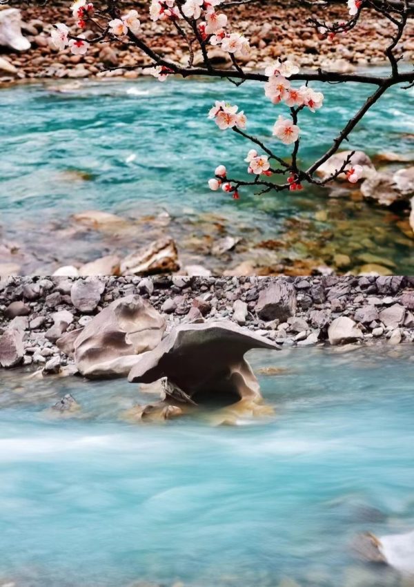 【客户返图】利比亚陨石、蓝松、多宝、超七等,一起穿越山河的菩心晶石-菩心晶舍