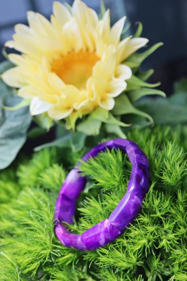 舒俱来有这个色也太难得了吧