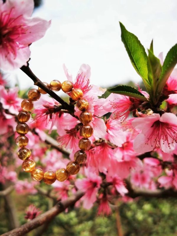 【客户返图】出游，请记得一定要戴捷克陨石！-菩心晶舍