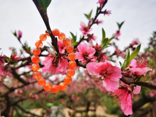 【客户返图】一大波晶石,菩心晶石永远伴随左右-菩心晶舍