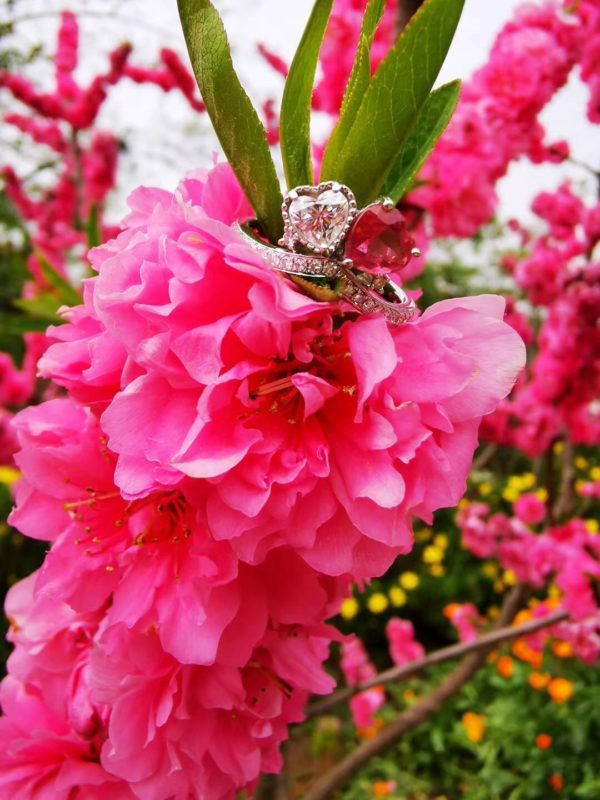 【客户返图】一大波晶石,菩心晶石永远伴随左右-菩心晶舍