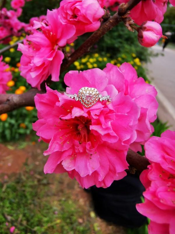 【客户返图】一大波晶石,菩心晶石永远伴随左右-菩心晶舍