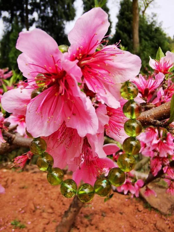 【客户返图】一大波晶石,菩心晶石永远伴随左右-菩心晶舍