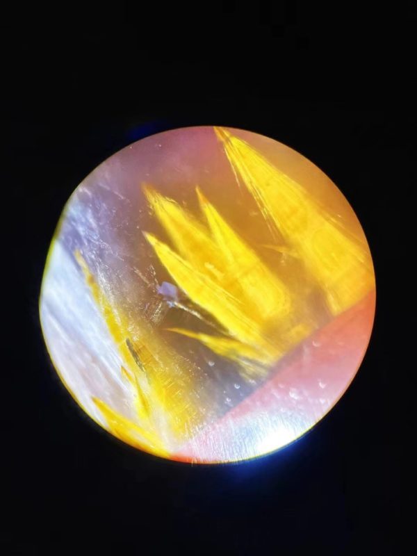 极光23,50倍显微镜下拍摄是什么效果?-菩心晶舍