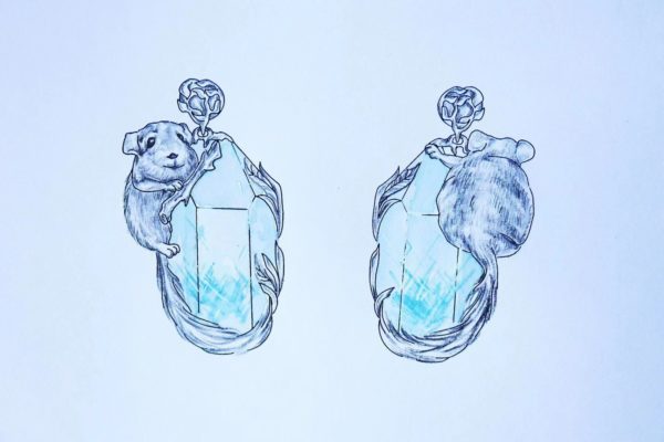 来自夏威夷小哥哥的飞鸽传书：把我的宝贝龙猫和蓝发晶设计一款吧-菩心晶舍
