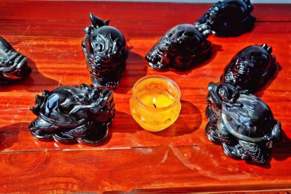 极品彩虹眼黑曜石龙龟,寓意长寿和安康-菩心晶舍